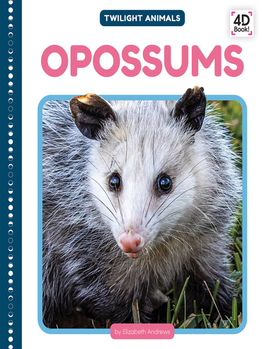 Title details for Opossums by Elizabeth Andrews - Available